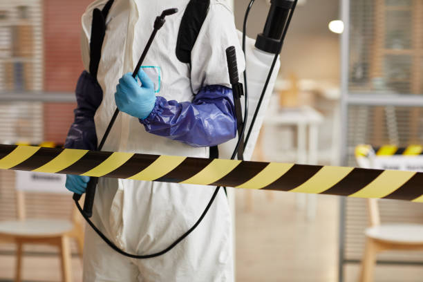 Professional Hoarding Cleanup technician working in Lake Isabella, MI